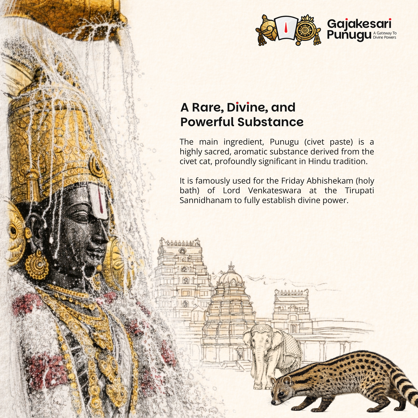 Gajakesari punugu - 5 Grms