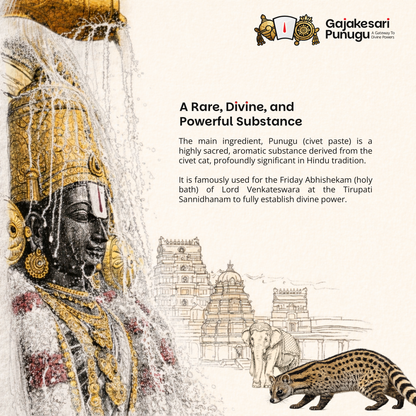 Gajakesari punugu - 5 Grms